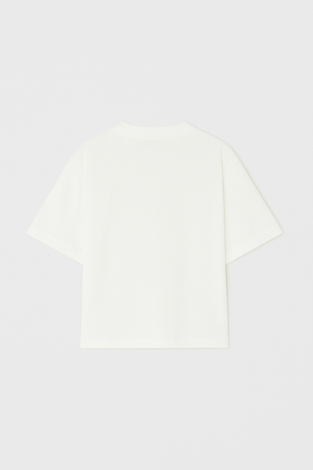 Essential Butterfly Flight Oversized Tee in White